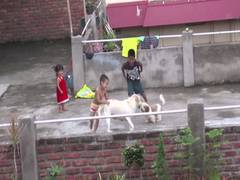 
      
      Ban on dog meat by Nagaland govt sparks debate
      
      