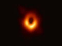 
      
      Black holes are more like holograms, say scientists
      
      