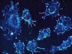 
      
      Researchers are now closer to cancer immunotherapy
      
      