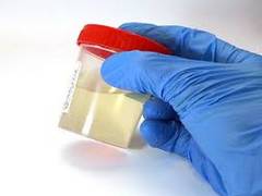 
      
      Doping on rise among athletes; 187 detected positive in 2018-19 
      
      