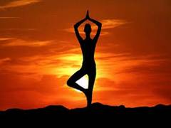 
      
      Yoga, physical therapy found to better sleep
      
      