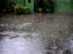 
      
      IMD predicts heavy rainfall in UP, K'taka
      
      