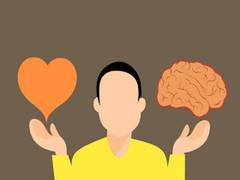 
      
      Study finds how brain balances pleasure and pain
      
      