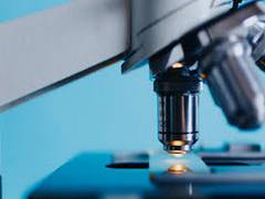 
      
      Study: Novel immune checkpoints have applications for cancer,...
      
      