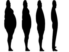 
      
      Fat mass index linked to high risk of cardiovascular diseases...
      
      