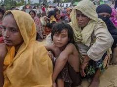 
      
      Delhi restaurateurs distribute food among Rohingya refugees...
      
      