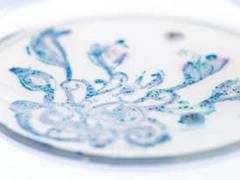 
      
      Study discovers unhealthy diet as threat to good gut bacteria
      
      