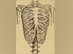 
      
      A new surgical procedure to fix broken ribs faster
      
      