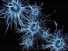 
      
      Discovery opens door for new treatments for Parkinson's,...
      
      
