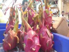 
      
      'Kamalam' has sweet, sour reactions from fruit traders, consumers
      
      