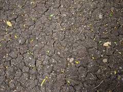 
      
      North Korea faces severe drought, UN expresses concern
      
      