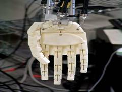 
      
      Scientists develop artificial muscles that bloom, dance, and wave
      
      
