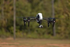 
      
      Hummingbird robot could help find victims trapped in...
      
      