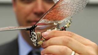 
      
      Insect Arm inspired drones invented using in-flight...
      
      