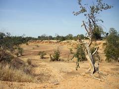 
      
      North-west India likely to be dry for next 2 days: IMD
      
      