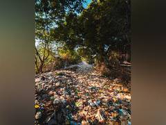 
      
      Youngsters establish Garbage Bank for Waste Management 
      
      