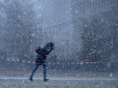 
    Scientists warn of more La Nina events in eastern Australia
    