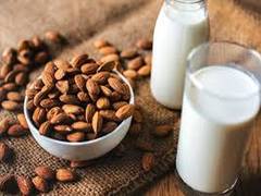 
      
      High-protein bedtime snacks don't harm active women
      
      