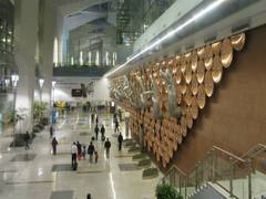 
      
      Couple nabbed at Delhi airport for holding dual passports
      
      