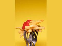 
      
      Calorie restriction trial reveals key factors in extending...
      
      