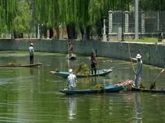 
      
      Cleanliness drive in Srinagar's Dal Lake in full swing amid...
      
      