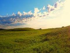 
      
      Uncovering how grasslands changed our climate: Study
      
      