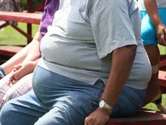 
      
      Gut bacteria found in mice could help humans with obesity issues
      
      