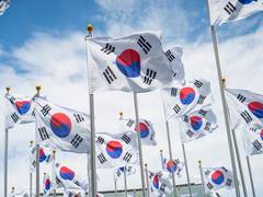 
      
      South Korea successfully launches homegrown satellite Nuri
      
      
