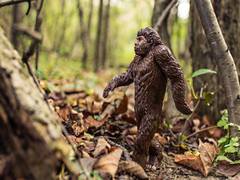 
      
      Rapid evolution in species may help them adapt to climate...
      
      