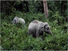 
      
      Uttarakhand HC takes suo motu cognisance over denotification...
      
      