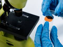 
      
      Researchers discover new drugs that target mitochondria in cancer
      
      