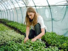 
    Study: Gardening helps to achieve better mental health 
    