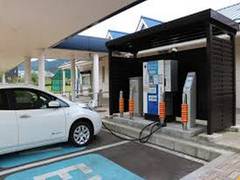 
      
      Govt vigilant about safety standards of EVs: Minister
      
      