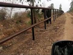 
      
      Staffer who shot elephant in Bandipur sacked, action...
      
      