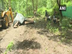 
      
      Shivamogga: Elephants kept under observation after one of...
      
      