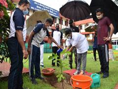 
      
      Corporates comes with solution this World Environment Day
      
      