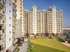 
      
      Gurugram: Discriminatory rules spark protest by single...
      
      