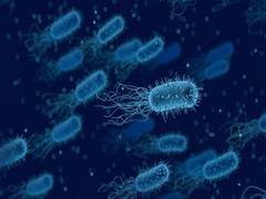 
      
      Study suggests mechanism to wake up sleeping bacteria to...
      
      