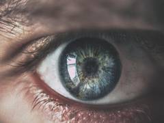 
      
      Bioengineered cornea might restore sight to the blind
      
      