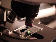 
      
      Scientists develop new tool to make 'gut check' more practical
      
      
