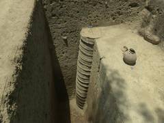 
      
      Tamil Nadu: 931 items related to Vaigai river civilization...
      
      