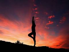 
      
      Exercise enhances brain function in overweight people
      
      