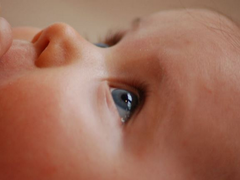 
      
      Higher risk of glaucoma suspected in infants undergoing...
      
      