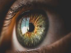 
      
      Study shows the larger an image, the better we remember it
      
      