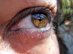 
      
      Artificial Intelligence can detect diabetic eye 
      
      