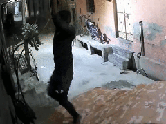 
      
      Thief climb walls to rob house, 'spider-man' moves caught on CCTV
      
      