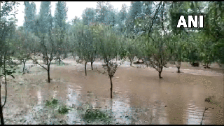 
      
      Cloudburst in J-K's Kulgam; several houses affected
      
      