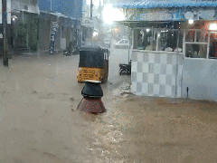 
      
      Rainwater takes away Biryani in Hyderabad
      
      