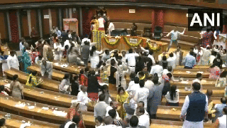 
      
      Delhi mayor alleges 