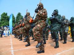 
      
      RAF to introduce new unit to tackle natural, other man-made...
      
      